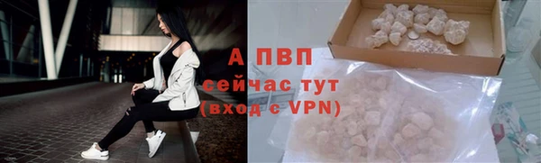 дурь Верея